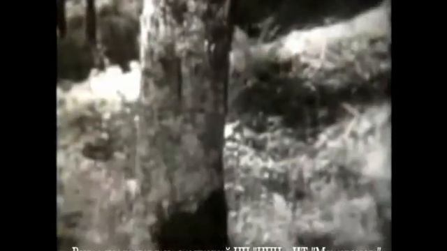 Испарение воды листьями смотреть онлайн