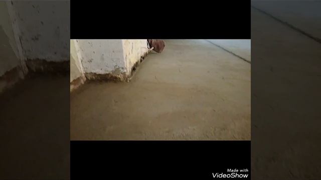 Полусухая стяжка , стяжка , Newremont смотреть онлайн