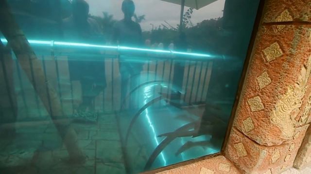 ТЕНЕРИФЕ / ПЕРВЫЕ ВПЕЧАТЛЕНИЯ / PONDEROSA APART HOTEL смотреть онлайн