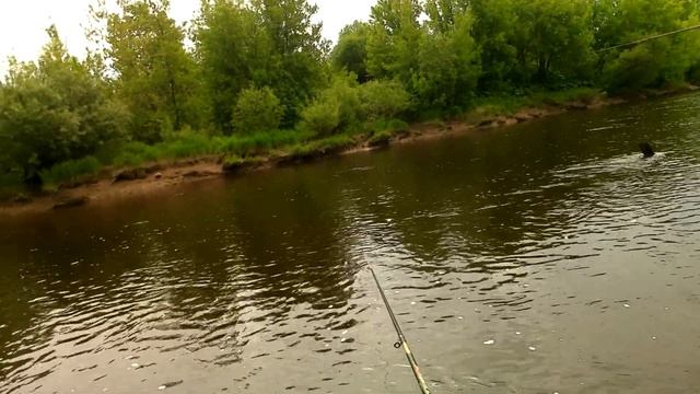 вышний волочек ловись рыбка смотреть онлайн