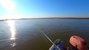 Ловим Ходового Судака "На Ходу" !! Судак осенью на джиг ! Осенний Судак!