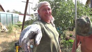 Глубинная скважина на воду под глубинный насос.