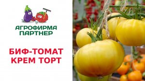 БИФ-ТОМАТ КРЕМ ТОРТ