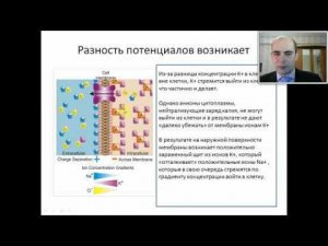 1  Общая психофармакология.