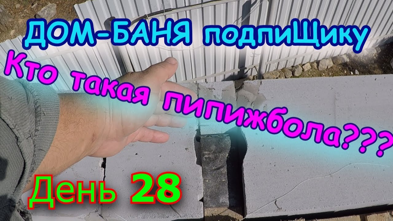 Устройство ПИПИЖБОЛЫ Строим ДОМ-БАНЮ. День 28