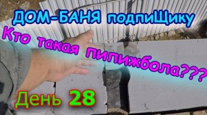 Устройство ПИПИЖБОЛЫ Строим ДОМ-БАНЮ. День 28