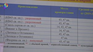 День сада