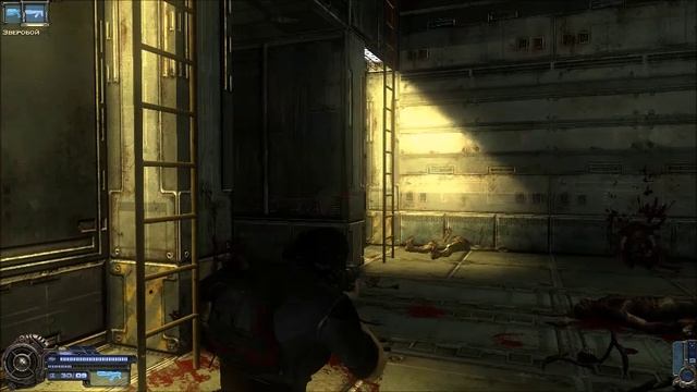 Collapse 4 часть