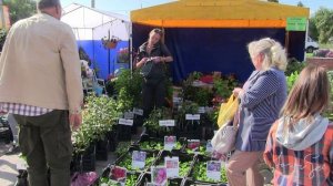 Саженцы от Стоян Ольги Петровны. (Садовая ярмарка у торгового центра Омск