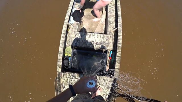 Кастинговая сеть американского типа. Сазаны на кастинговую сеть. Рыбалка с лодки Рыбалка 2023 смотреть онлайн