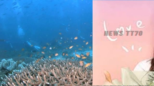 【NEWS TT7003月30日】#杨紫：比起先天优势的完美无缺。#杨紫 玩命减肥，是因为新剧男主身材太好？#yangzi #Jing Boran смотреть онлайн