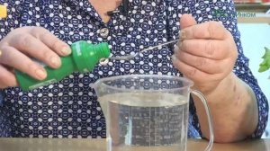 "Фитоспорин-М РАССАДА, ОВОЩИ, ЯГОДЫ, ПЛОДОВЫЕ" и "Фитоспорин-М ЦВЕТЫ" - применение