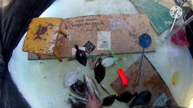 Подлёдная рыбалка на море в Приморском крае, Дальний восток