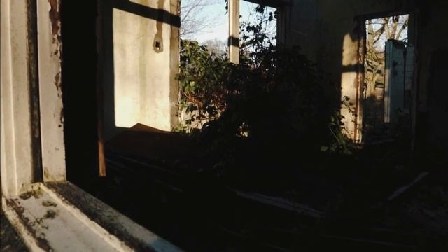 Сущность 2 - ОКНА (The Backrooms) смотреть онлайн