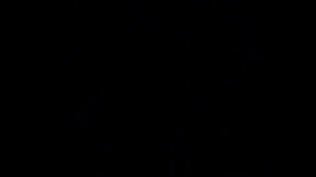 Древесный паркур смотреть онлайн