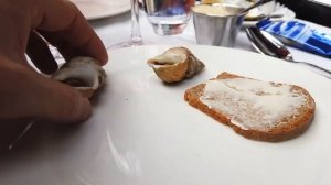 A Brasserie Fit for a President (my experience at la Rotonde in Paris Montparnasse)