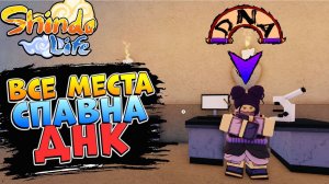 ШИНДО ЛАЙФ ВСЕ МЕСТА СПАВНА БОССОВ ДНК - КАК ПОЛУЧИТЬ РАСУ SHINDO LIFE 2023