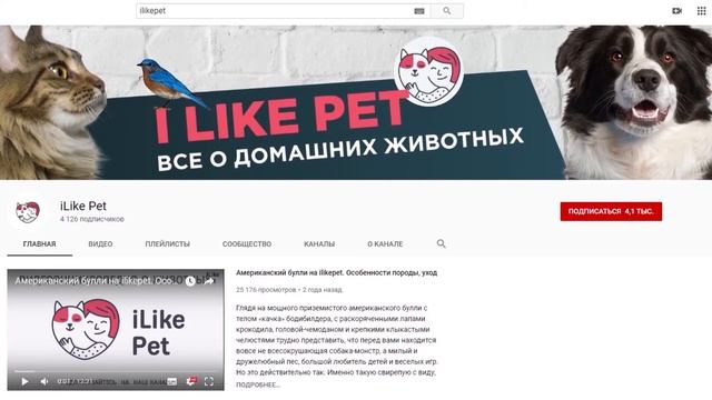 Как правильно чистить игрушки собаки: 4 совета смотреть онлайн