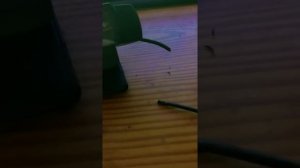 Пытаюсь починить вебкамеру Logitech c920