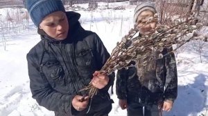 Букет из вербы на Вербное воскресенье.