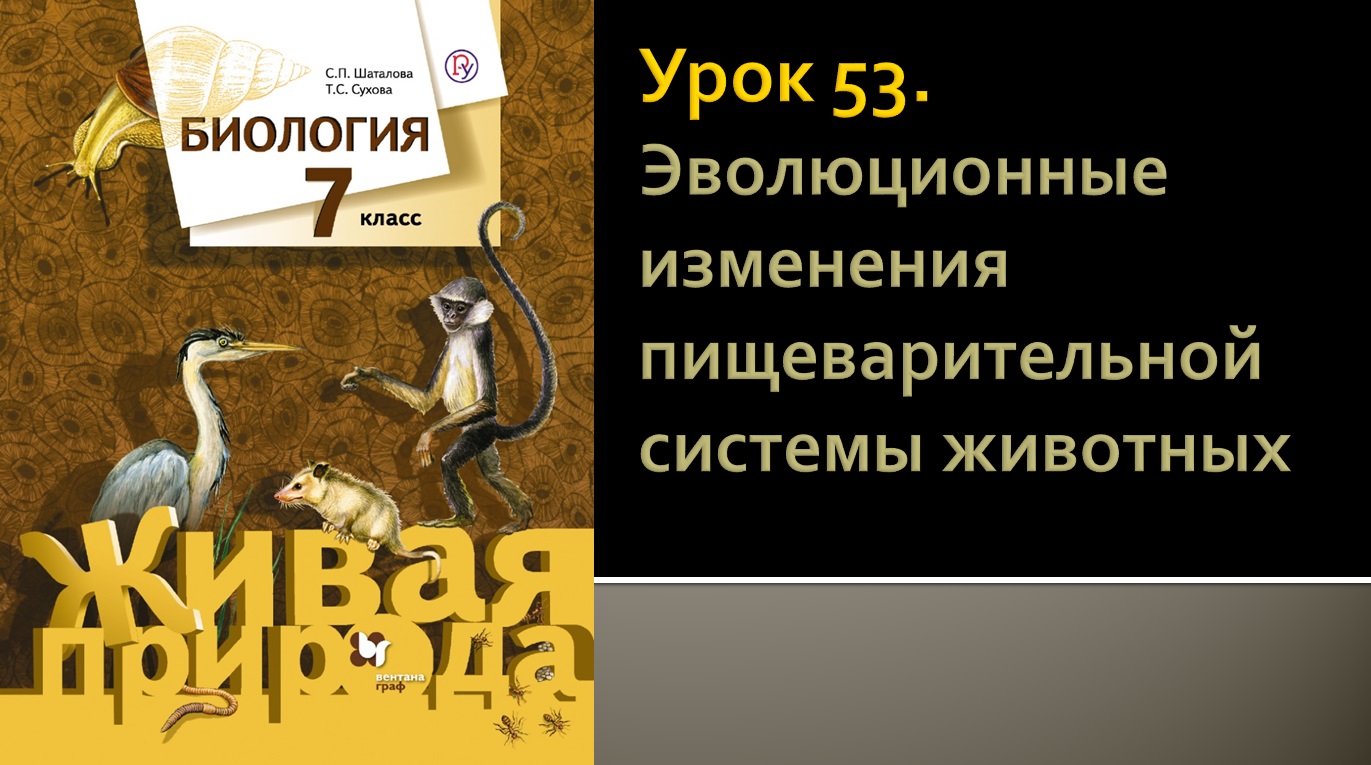 Урок 53. Эволюционные изменения пищеварительной системы животных