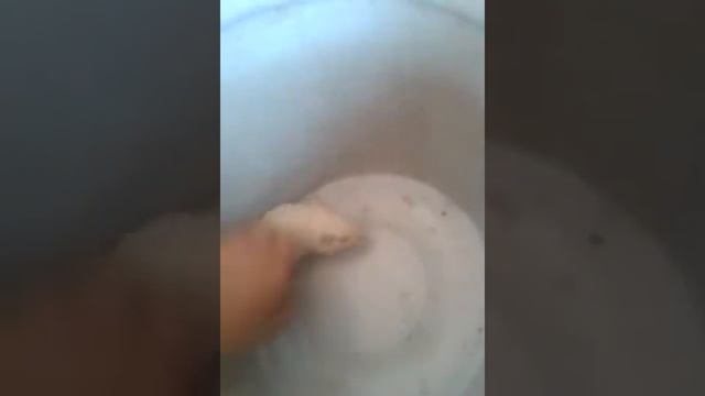 Песчанке Андалинде меняют наполнитель смотреть онлайн