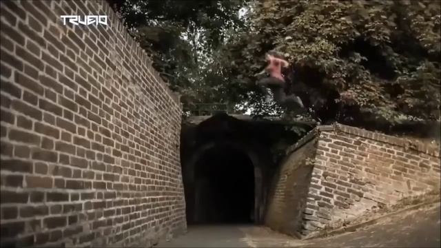 Самые атлетичные спортивные и красивые девушки мира 2015 смотреть онлайн