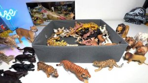 Big Cats & Wild Cats Collection - Lion Tiger Lynx Leopard Puma Leopard Cheetah Black Panther Liones