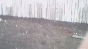 Забор из шифера. Забор своими руками