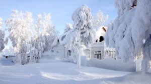 Сколько лет, сколько зим