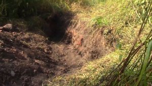 Коп в лесах. 26-30 июля. Шурф старого фунда.