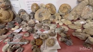 В Левашинском районе проходит выставка художника-архитектора Зульфии Камаловой