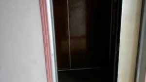 Электрические лифты V=1-0,71 м-с, г-п 500 кг, 320 кг (223)