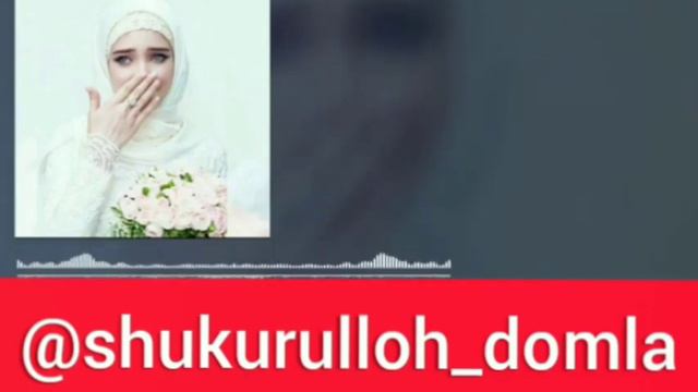 ШУКУРУЛЛО ДОМЛА КЕЛИНЛАР ХАКИДА КАТТИК ГАПИРДИ