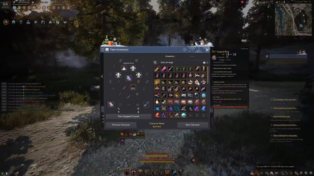 Black Desert online VS Lost Ark? What is better?! - Both good, have a good day!