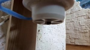 Автоматическая кормушка для кошек своими руками.