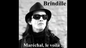 Maréchal, le voilà ! - Brindille