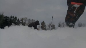 Рыбалка в Кировской области на старице в посёлке Разлив