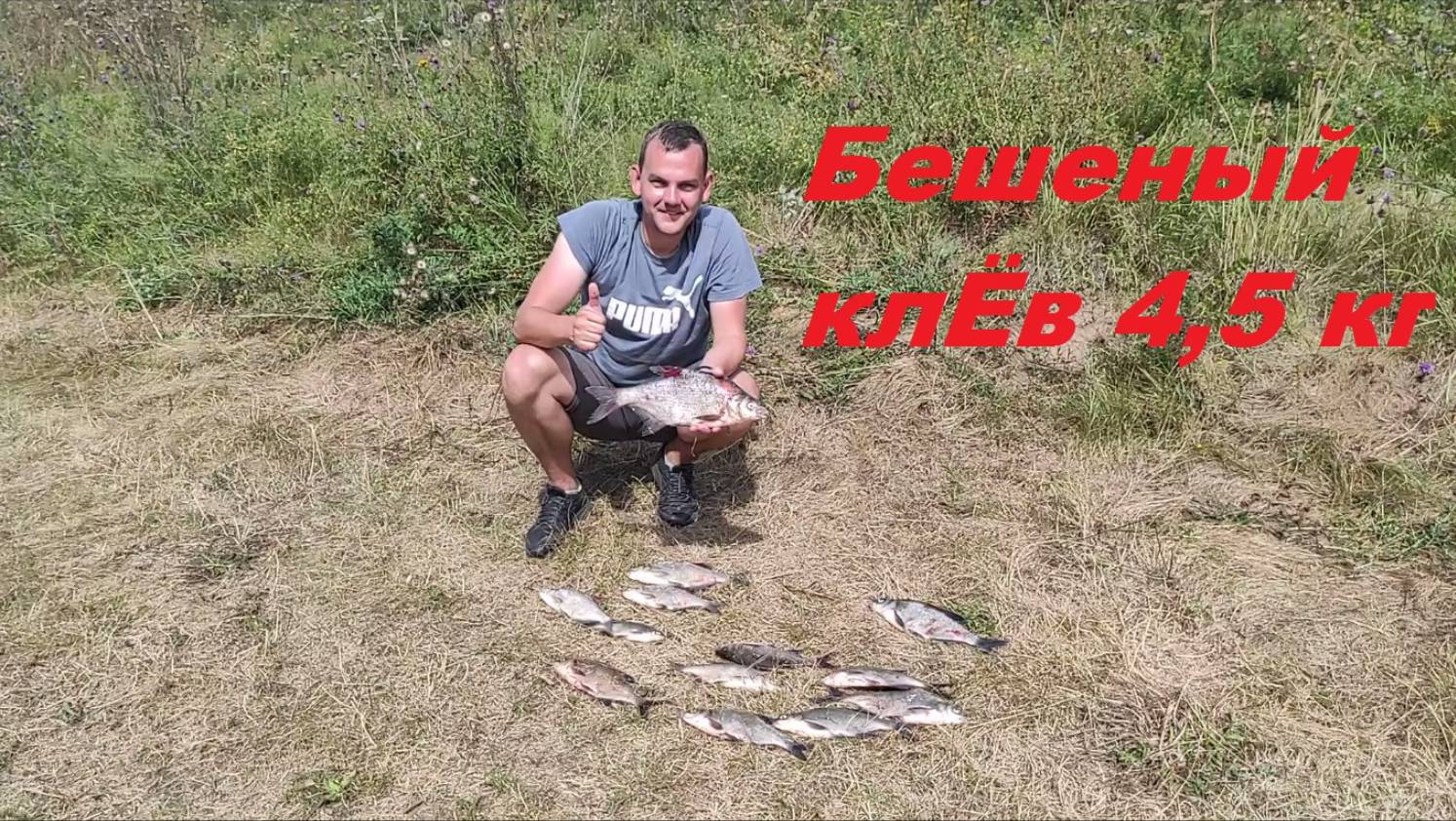 Рыбалка. Бешеный клёв! Тверь. 20.07.2024#рыбалка #fishing