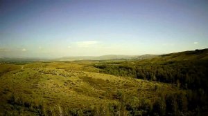 Усть-Каменогорск природа с квадрокоптера