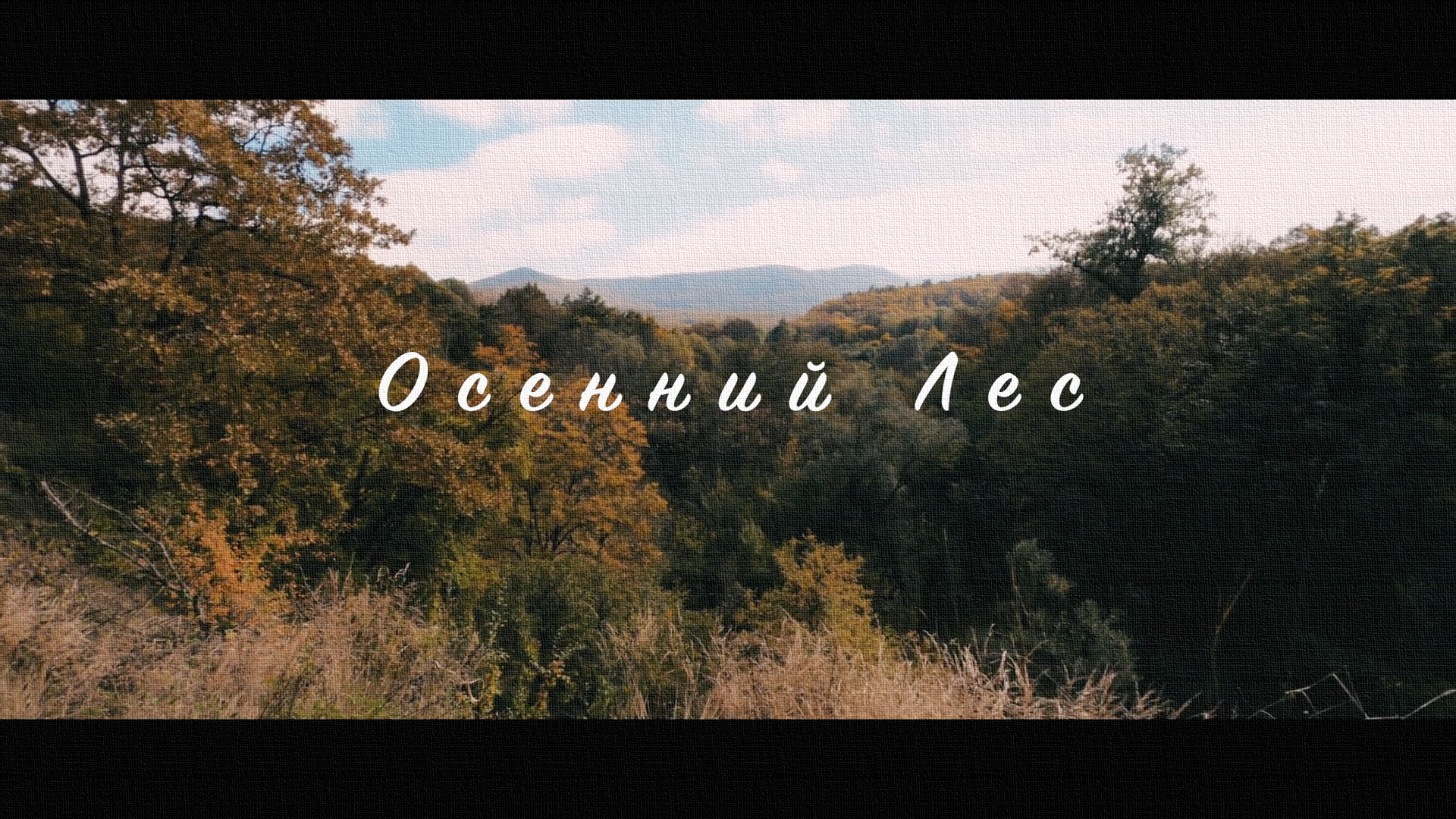 Осенний Лес