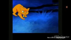 Коты Воители Рыжик "Стань диким!" Клип living in a world without you