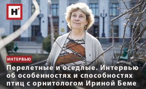 ПЕРЕЛЕТНЫЕ И ОСЕДЛЫЕ. ИНТЕРВЬЮ ОБ ОСОБЕННОСТЯХ И СПОСОБНОСТЯХ ПТИЦ С ОРНИТОЛОГОМ ИРИНОЙ БЕМЕ