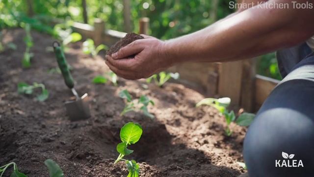 5 Amazing Smart Kitchen gadgets You Need To See смотреть онлайн