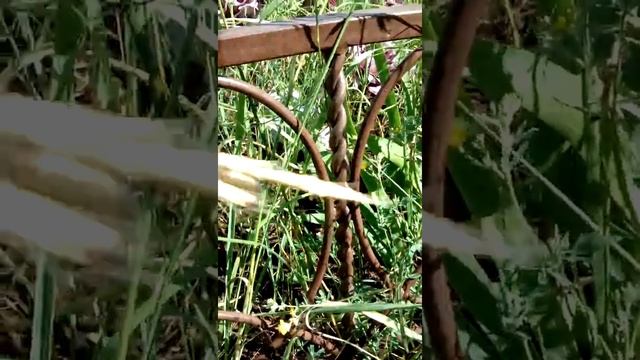 Отзыв порошковой краски микропул, спустя 5 лет после покраски. Reviewed by Micropul Paint. Micropul смотреть онлайн