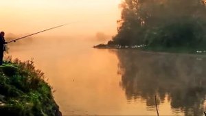 Родимое родное  братья Радченко