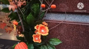 Лора USA.Конфликт,послана на 3 буквы(свой чел),полицию вызывать не стала,храбро ушла с поляБояБезБо