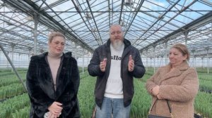 Помогаем выстроить Ваш бизнес на тюльпанах с нуля! Начало.