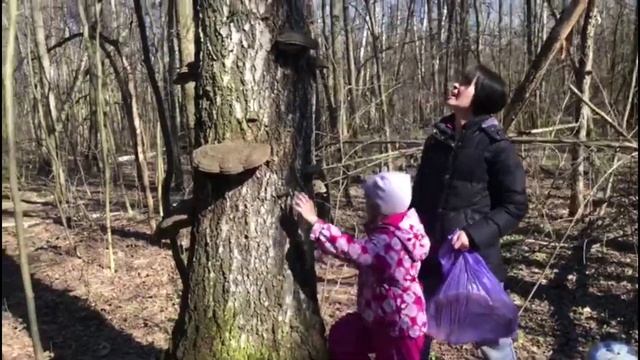 Елена Александрова в самоизоляции
