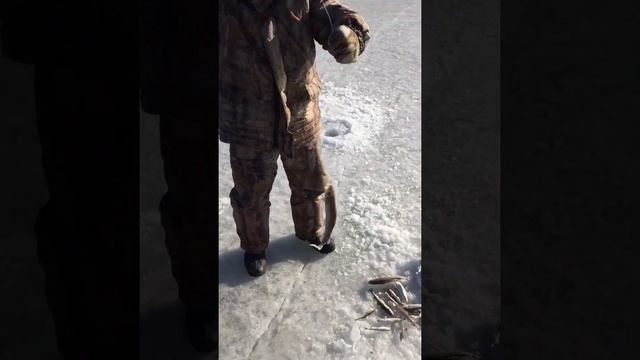 Тавричанка!!! Синие гаражи. Ловля наваги.